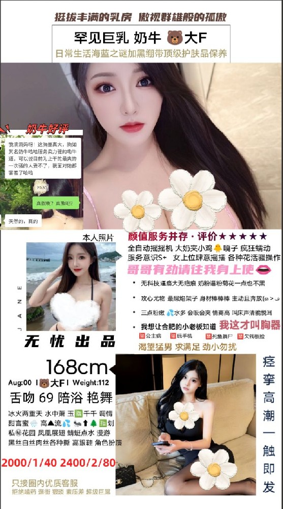 无忧-奶牛
